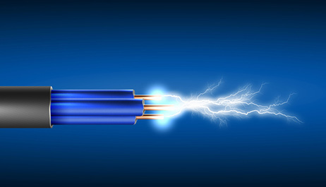 Multiple voltages matching electric specifications worldwide